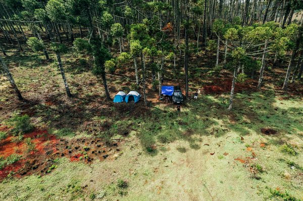 Discover Top UK Destinations for Immersive Guided Tours Showcasing British Rural Heritage