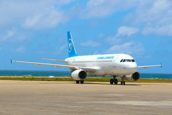 Unlocking the Secrets of Birdwatching in the Norfolk Broads: Pro Tips and Insider Insights for Enthusiasts